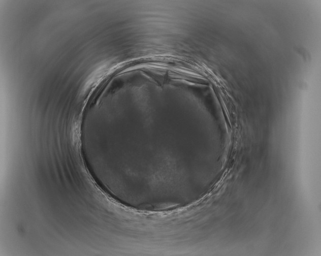 X0000113270002200909241552