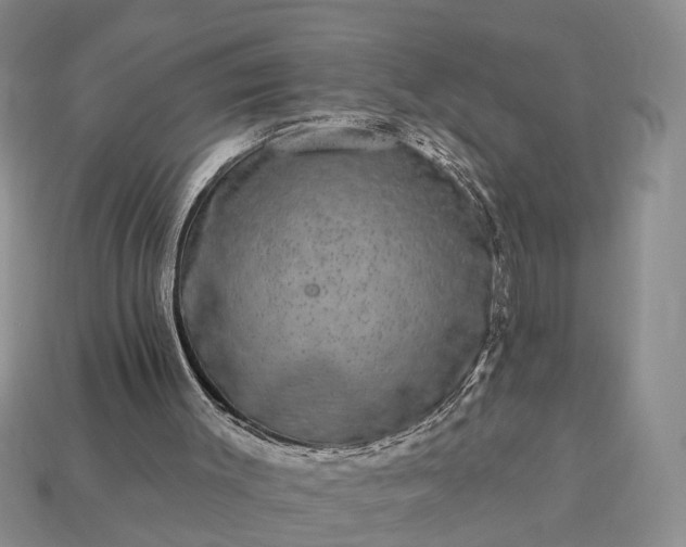 X0000113270003200909241552