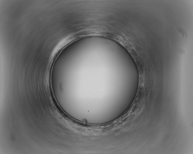 X0000113270004200909241552