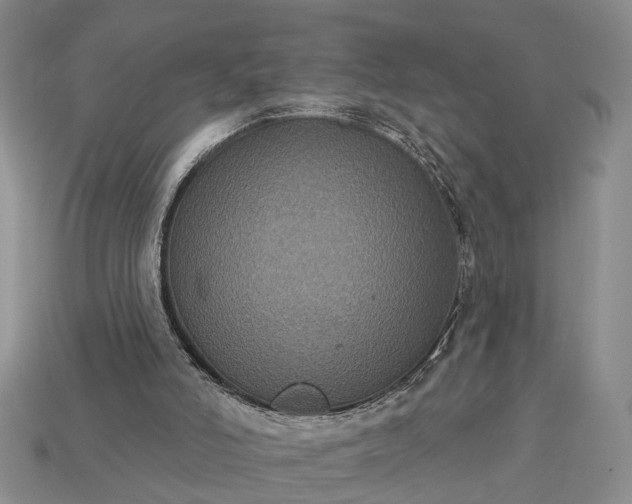 X0000113270006200909241552