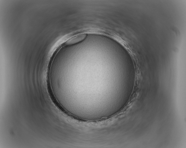 X0000113270007200909241552