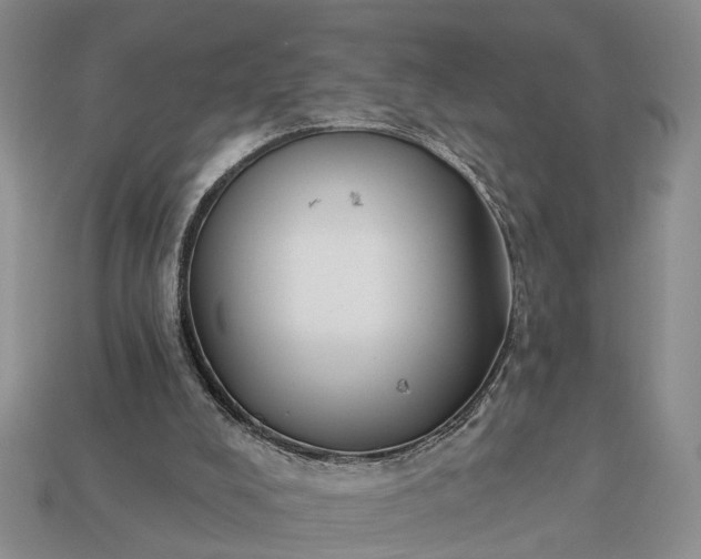 X0000113270008200909241552