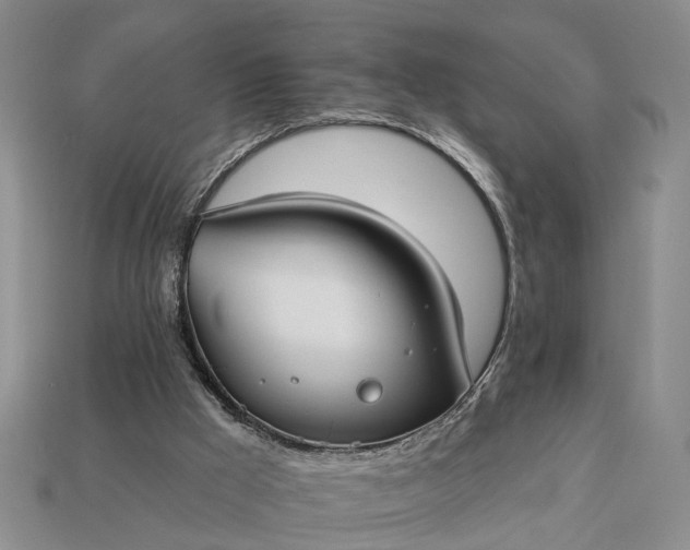 X0000113270009200909241552