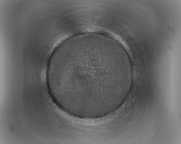 X0000113270010200909241552