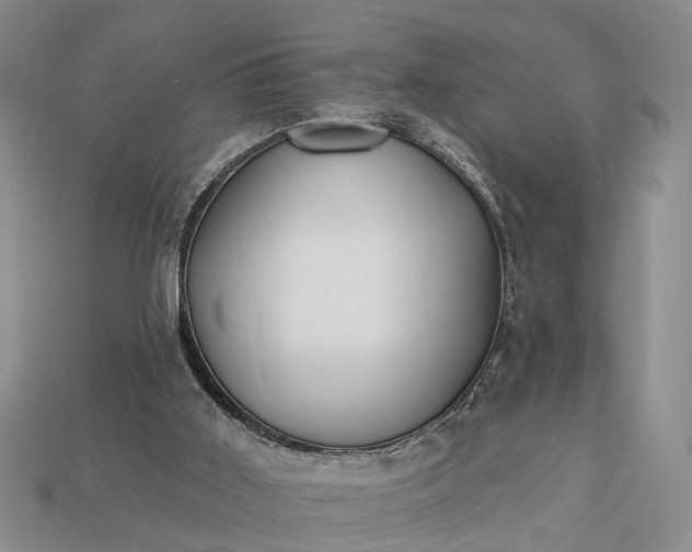 X0000113270011200909241552