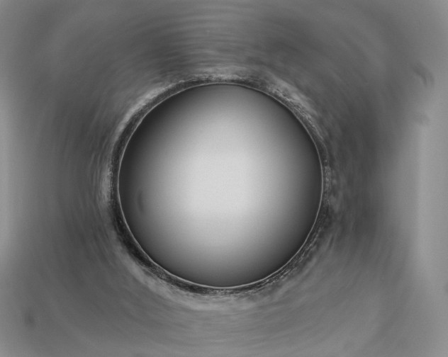 X0000113270012200909241552