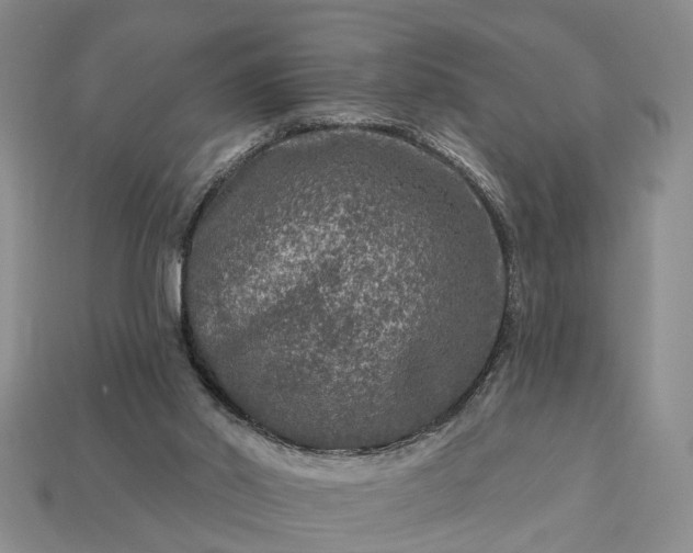 X0000113270014200909241552