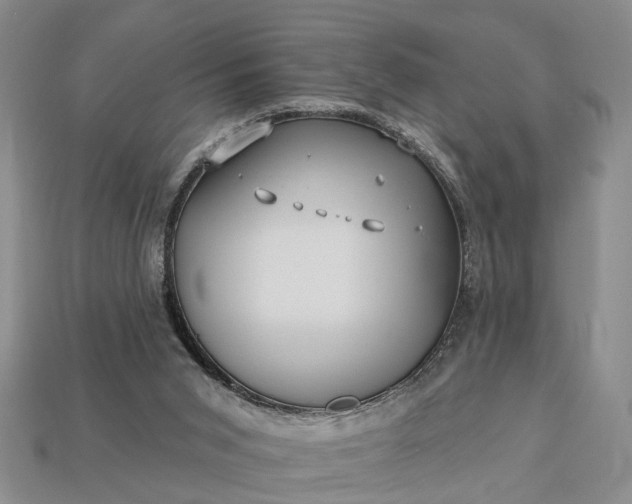 X0000113270015200909241552