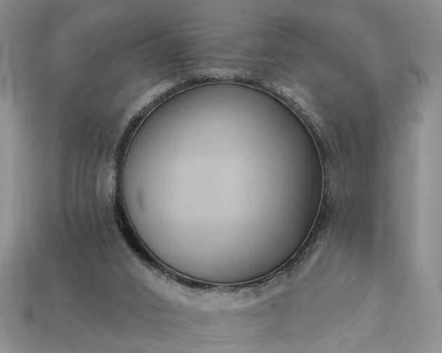 X0000113270016200909241552