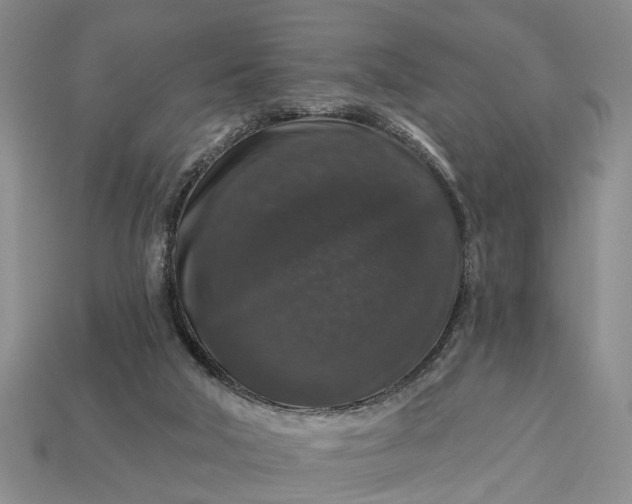 X0000113270018200909241552