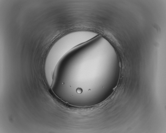 X0000113270021200909241552