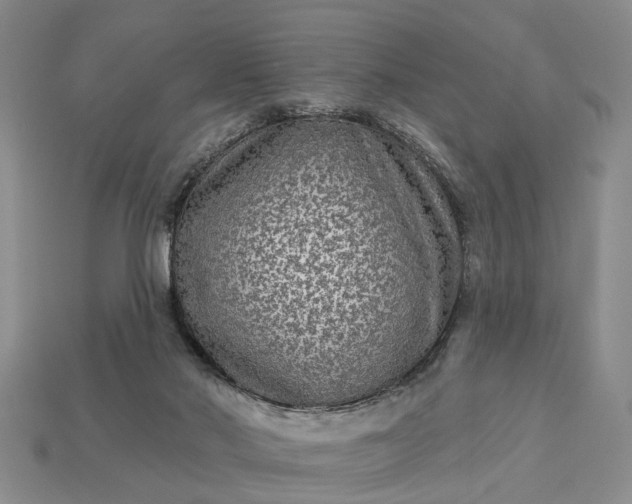 X0000113270022200909241552