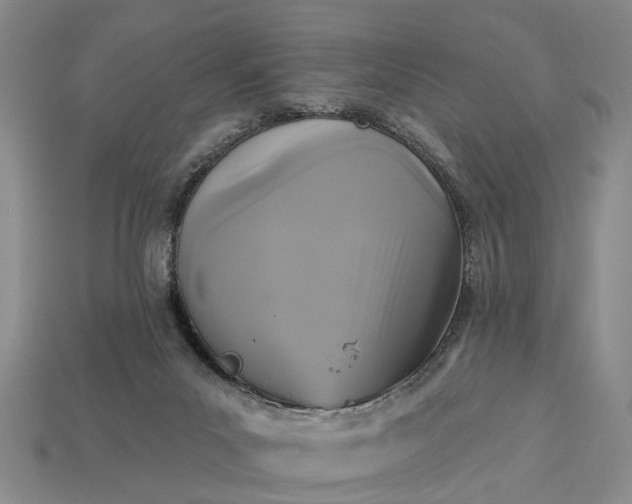 X0000113270023200909241552