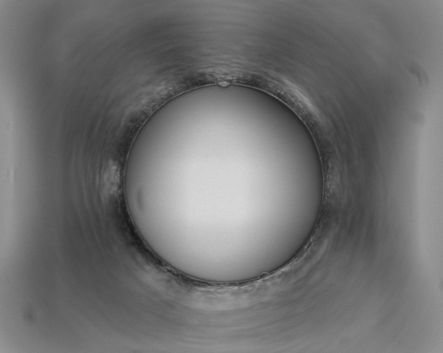 X0000113270025200909241552