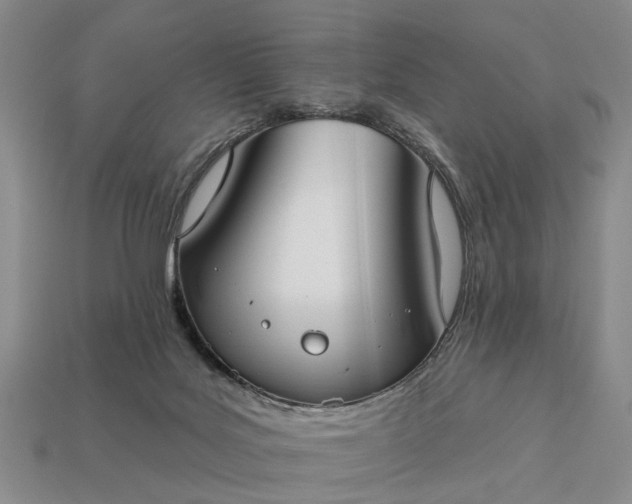 X0000113270027200909241552