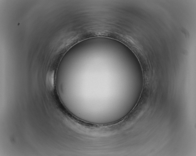 X0000113270028200909241552