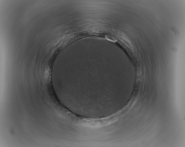 X0000113270029200909241552