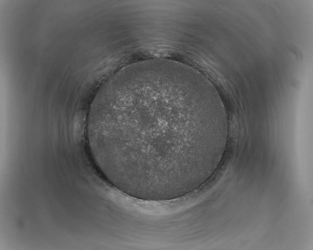 X0000113270030200909241552