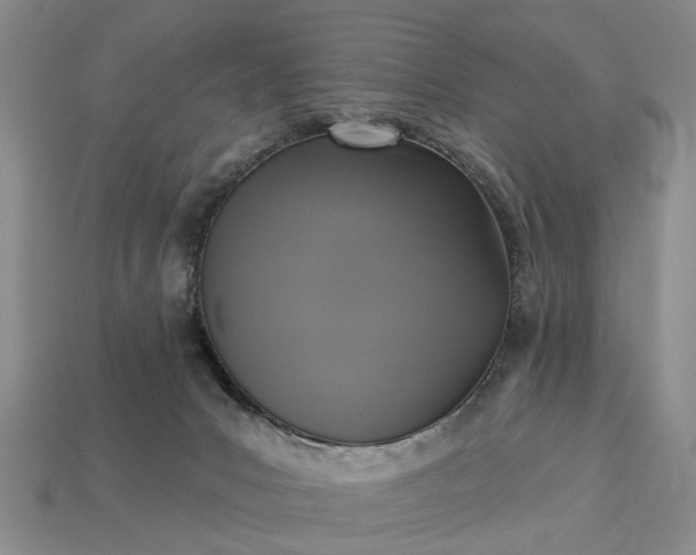 X0000113270031200909241552