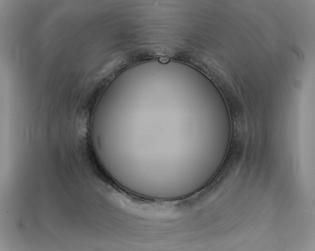 X0000113270032200909241552