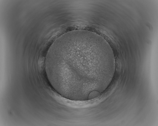 X0000113270034200909241552