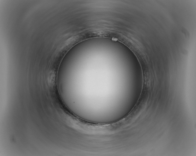 X0000113270036200909241552