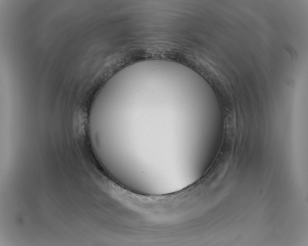 X0000113270038200909241552