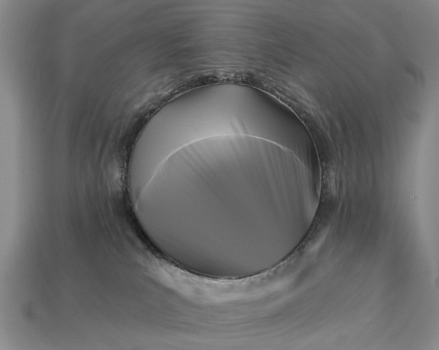 X0000113270039200909241552