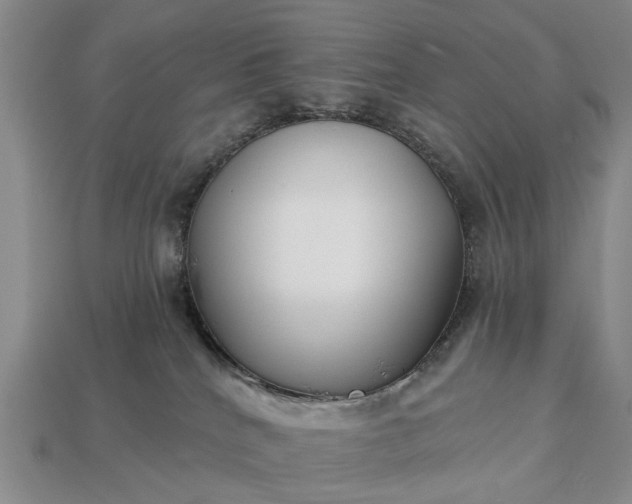 X0000113270040200909241552