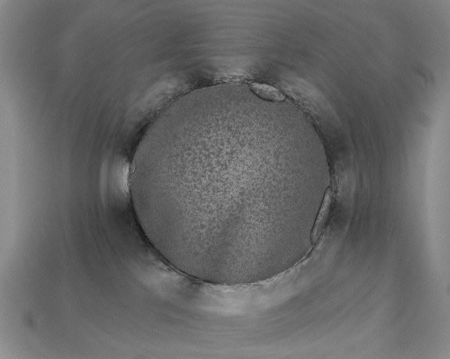 X0000113270041200909241552