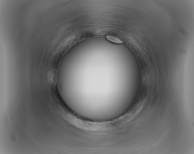 X0000113270044200909241552