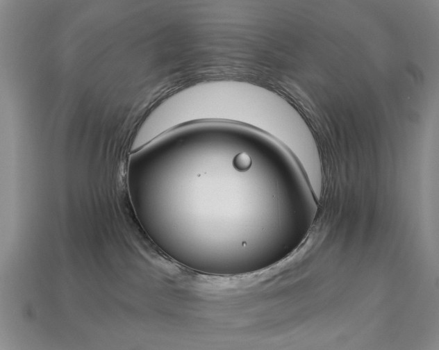 X0000113270045200909241552