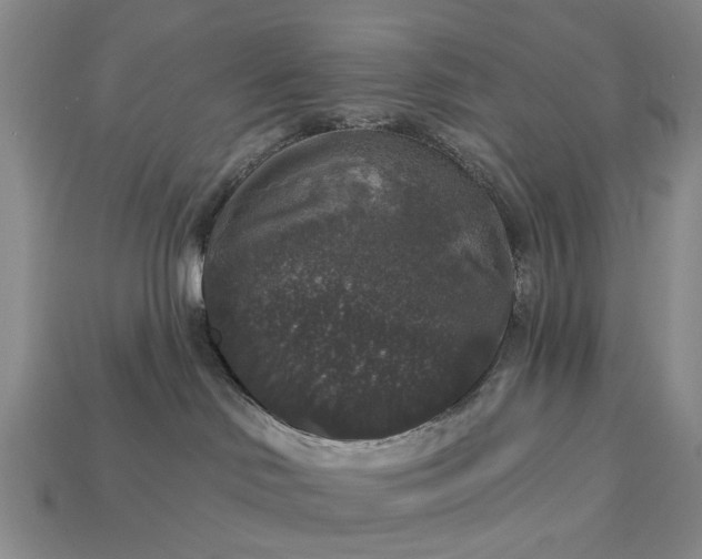 X0000113270046200909241552