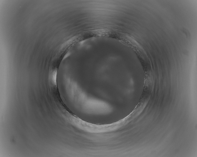 X0000113270047200909241552