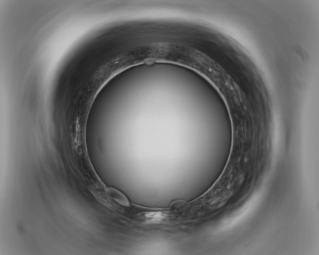 X0000113270050200909241551