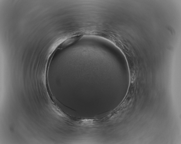 X0000113270052200909241551