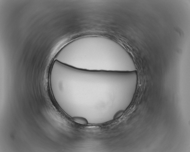 X0000113270053200909241551