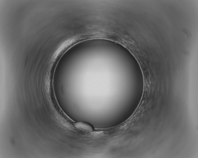 X0000113270054200909241551