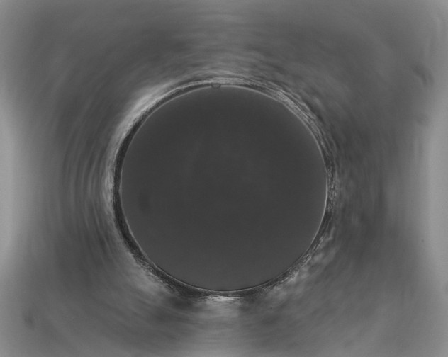 X0000113270055200909241551