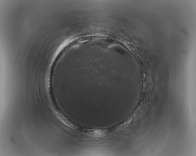 X0000113270056200909241551