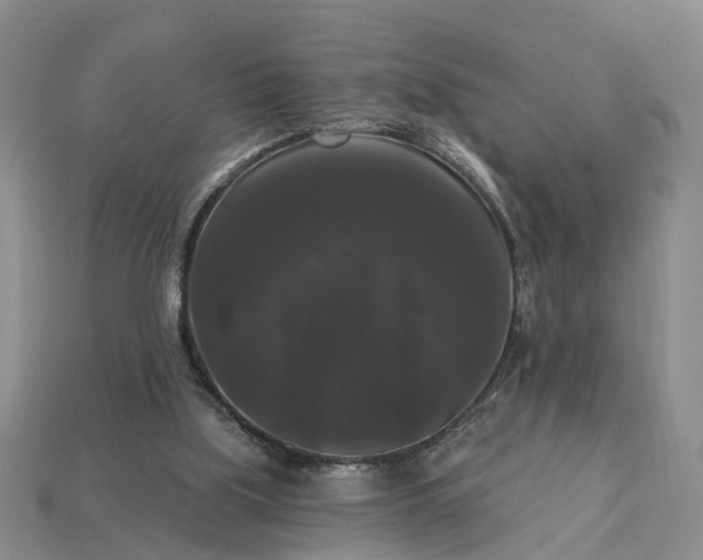 X0000113270059200909241551