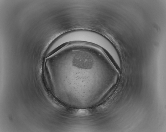 X0000113270060200909241551