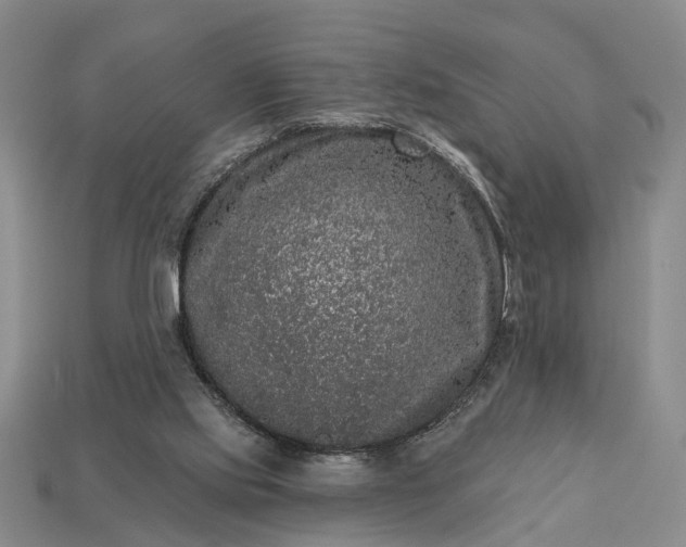 X0000113270061200909241551