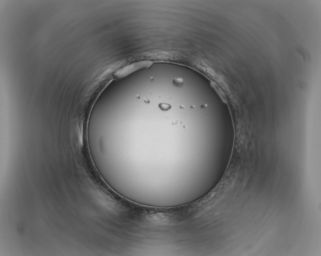 X0000113270062200909241551