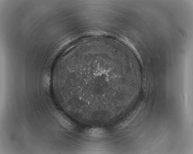 X0000113270063200909241551