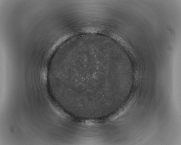 X0000113270064200909241551