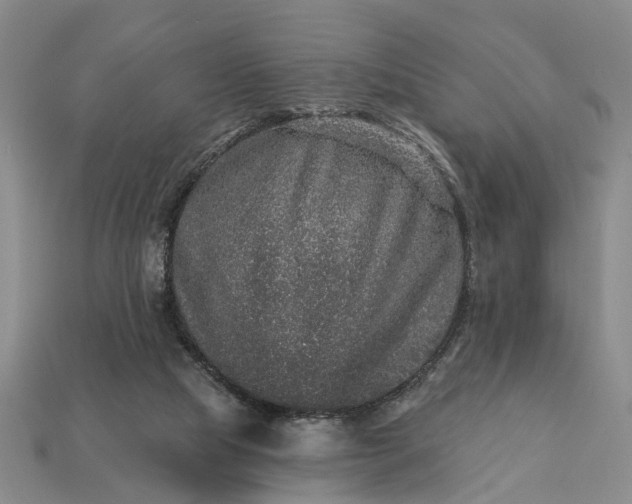 X0000113270065200909241551