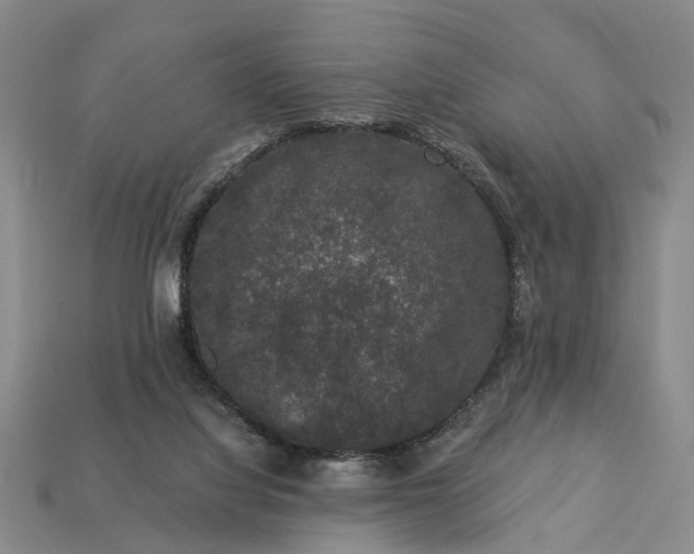 X0000113270068200909241552