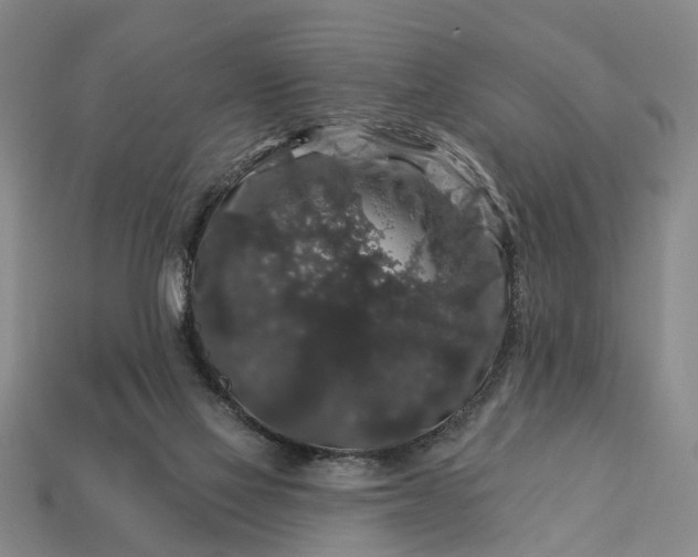 X0000113270069200909241552