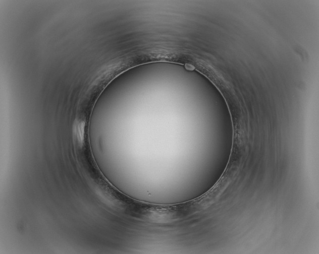 X0000113270070200909241552